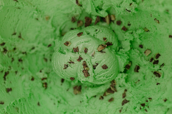 Mint Chocolate Chip