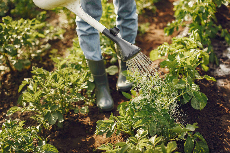 From Farms to Your Freezer. From Fresh Ingredients to Your Favorite Dessert.